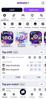Wowbet с кэшбеком Погружение в мир азартных развлечений