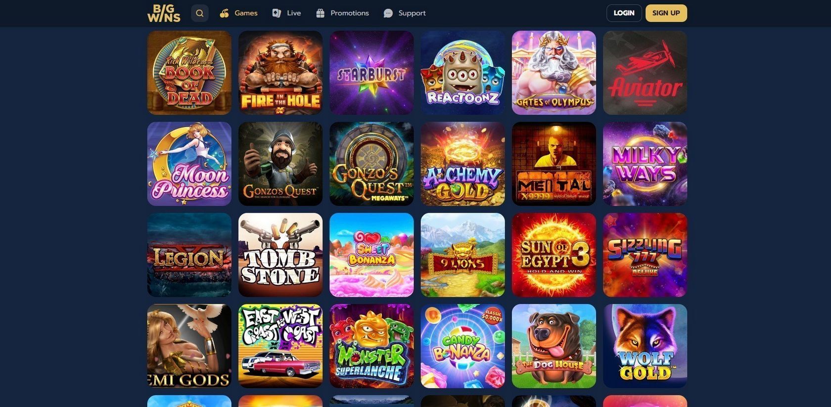 Bigwin Casino Review